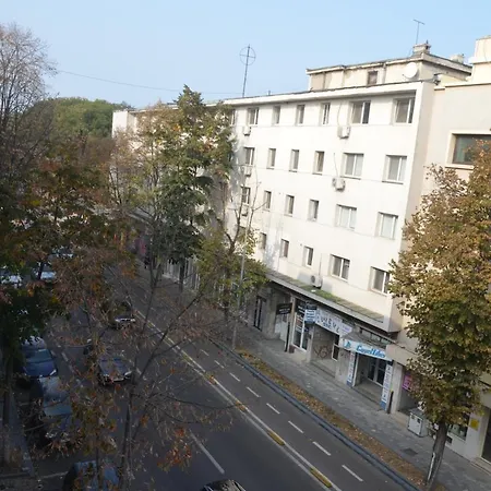 No 05 - Amarilia Constanta